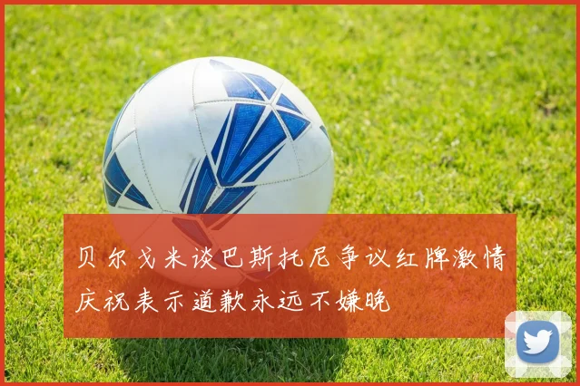 贝尔戈米谈巴斯托尼争议红牌激情庆祝表示道歉永远不嫌晚