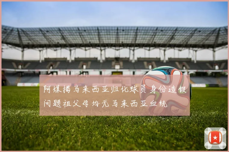 阿媒揭马来西亚归化球员身份造假问题祖父母均无马来西亚血统