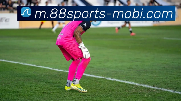 88体育平台生态图